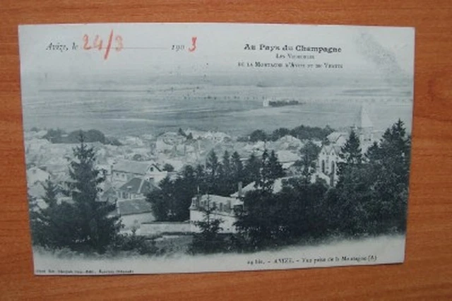 CPA: AVIZE view taken from the Montagne, in the country of Champagne les vignobl