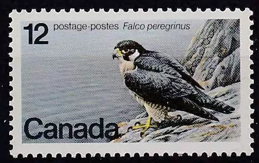 Canada postfris 1978 MNH 680 - Vogels / Birds