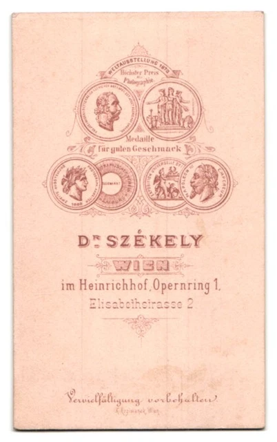 Photography Dr. Székely, Vienna, opera ring 1, Elisabethstr. 2, Young Lady with High 2