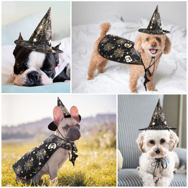 Animale domestico Halloween mantello spettacolo mantello capo strega costume donna cane gatto cappello 3