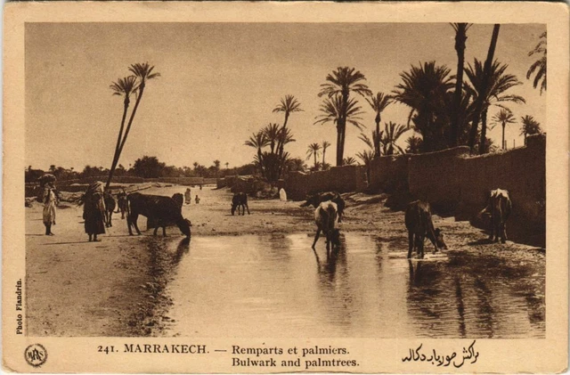 CPA AK MARRAKECH Walls and Palms (10543)
