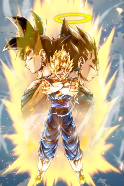 Dragon Ball Super Poster Goku and Vegeta SSJ Blue 18inx12 in Free Shipping