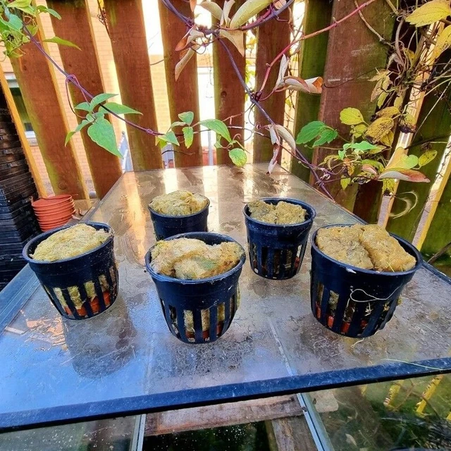 Kits de macetas para plantas de acuario | Paquete de 10 piezas | Macetas, lana de roca y pesos