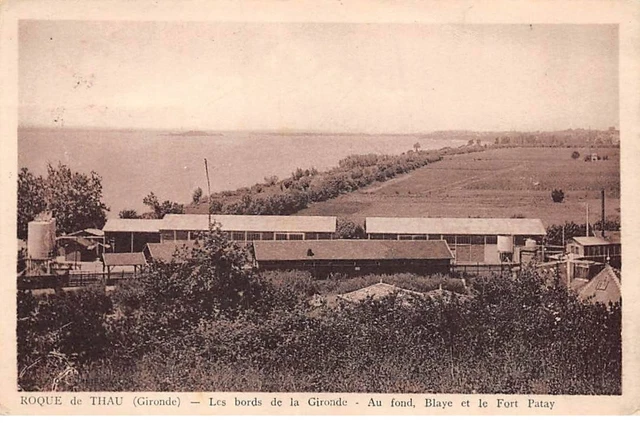 33 - ROQUE DE THAU - SAN66775 - Les bords de la Gironde - Au fond, Blaye et le