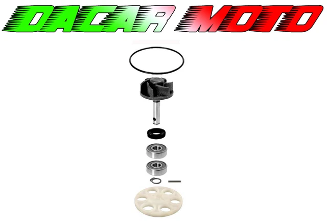 6245 - KIT GEMME BIANCHE PER FRECCE APRILIA 50 SR 2006 - Foto 10