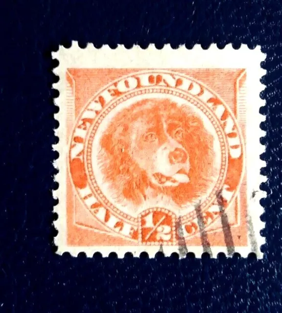 1896- Terranova(Canada) -1/2 c -arancio vivo-usato-carta sottile-cane