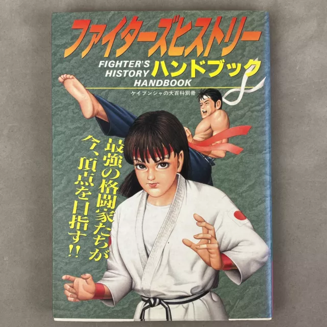 Data East Fighter's History Handbook guía oficial de estrategia libro importación de Japón