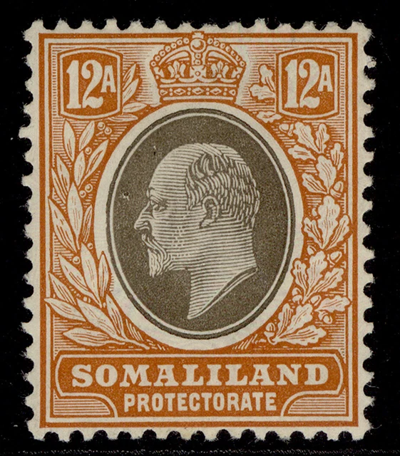 SOMALILAND PROTECTORATE EDVII SG53a, 12a black & orange-brown, LH MINT. Cat £17.