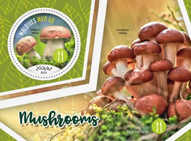 Maldives 2019 MNH Mushrooms Stamps Boletus Armillaria Fungi Nature 1v S/S