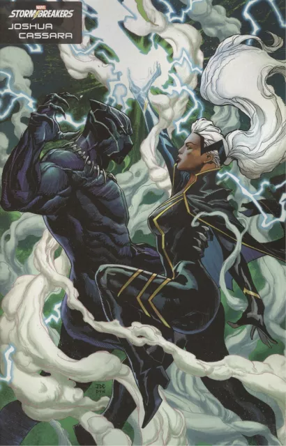 Black Panther Legends 2 Cassara Stormbreakers Variant Vf/Nm Marvel Hohc 2021