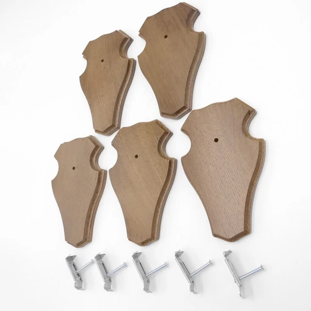 5 Pieza Ciervo Escudo de Trofeo Romo Pequeño Braun Af 19cm x 11cm Con 5x Pinzas 3