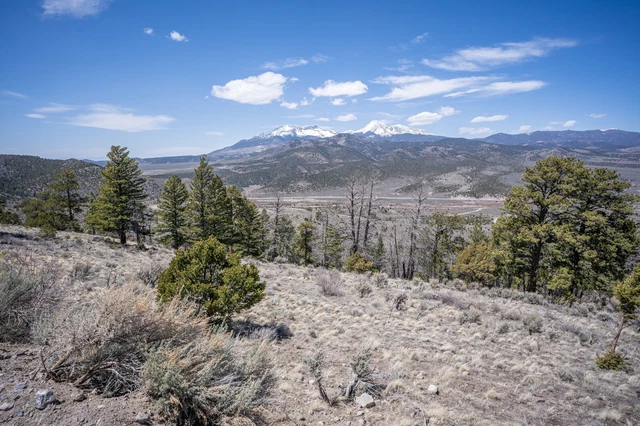 Sweeping Colorado Mountain Views & LOW Payments on 5-acre lot-Bid on Downpayment