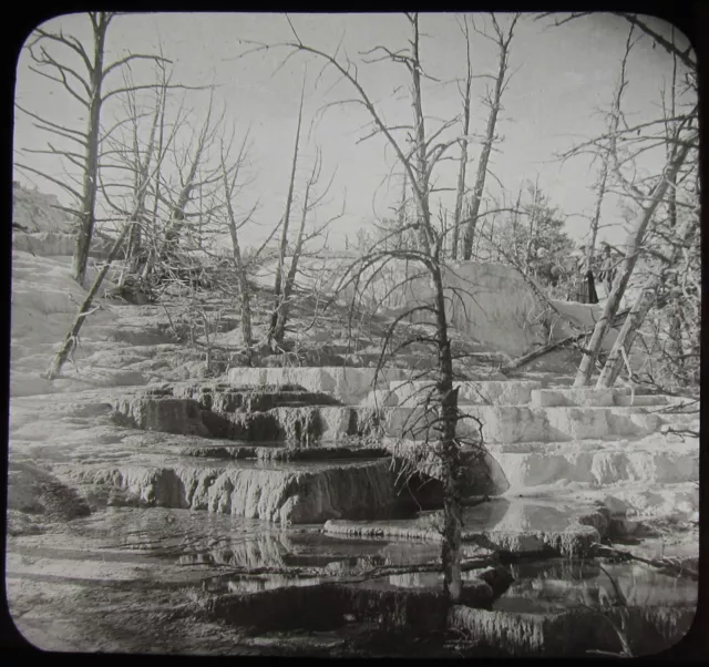 Glass Magic Lantern Slide ANGEL TERRACE YELLOWSTONE PARK C1910 OLD PHOTO USA