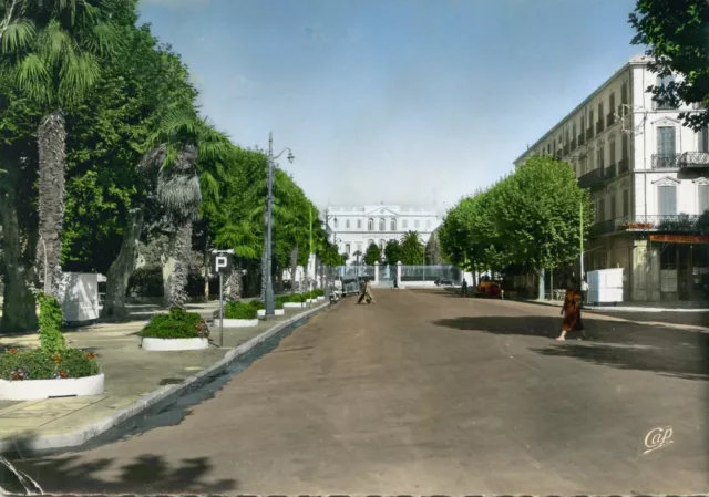 *35275 cpsm 83 Draguignan - Boulevard Georges Clémenceau