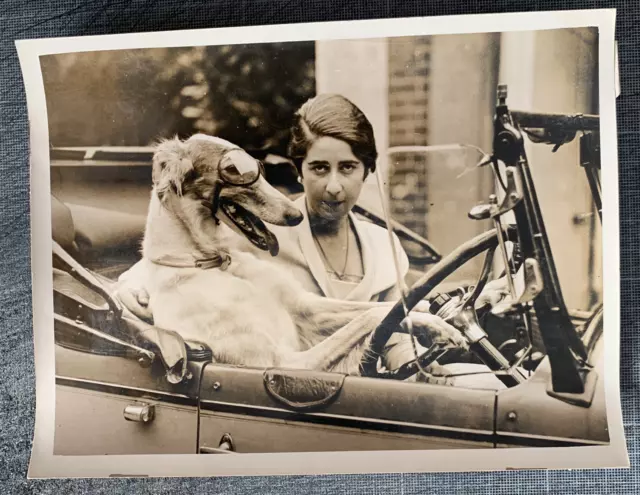 LIV6401  Photographie photo vintage Betty Vlasto chien cabriolet drôle gag