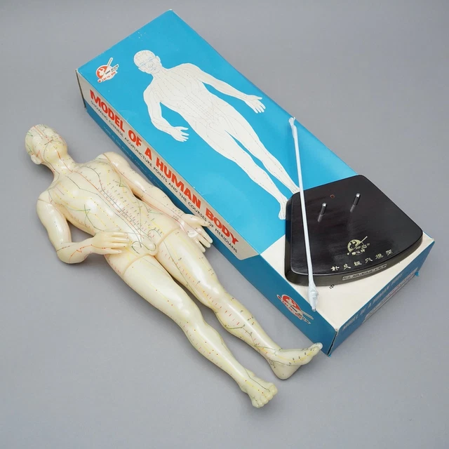 China Acupuntura Modelo Goma en Caja Orig. Good Health Brand 1.AIO