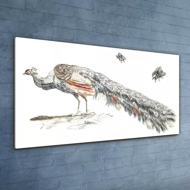 Druck auf Glas Wandbild Glasbilder 120x60 Gemälde Tier Vogel Pfau Kunst