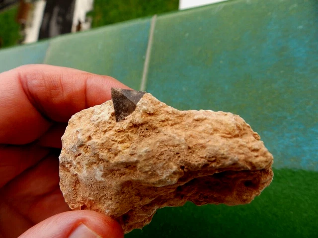 Minerales " Fabuloso Cristal Qzo Morion En Matriz Archidona(Malaga)- 11A22 "