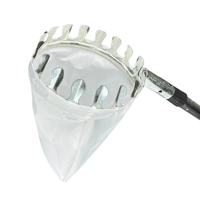 Tête Cueilleuse Fruits 9 Dents 26 Mm - Alliage Aluminium, Longueur 57,5 Cm | Pour Olives, Poires, Oranges En Hauteur