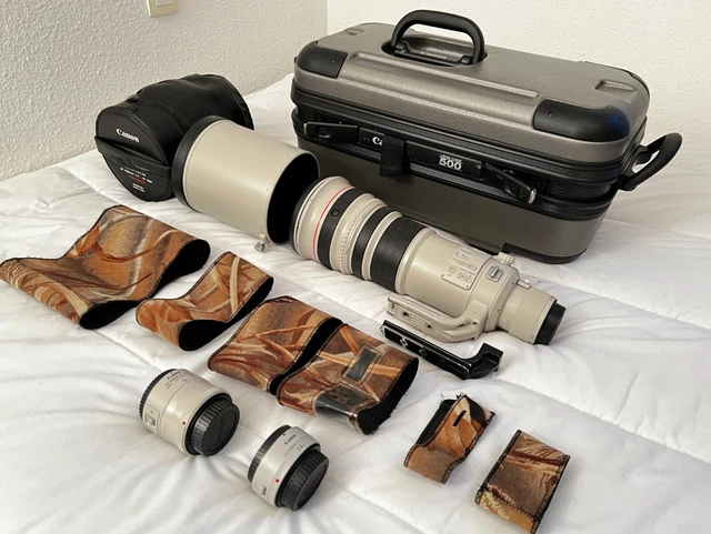 Canon EF 500mm f/4 L IS USM / Extender EF 1.4x V2 / Extender EF 2x V1 / 3 Camo