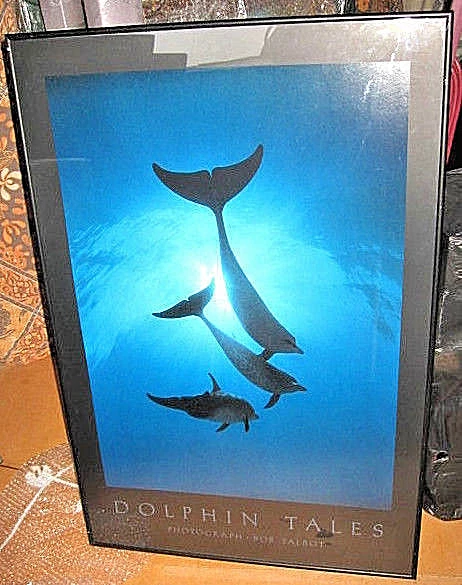Bob Talbot 80s vintage poster 6種セット Bob Talbot - Delphinus - Offset Poster - 1985 - by Mirage | eBay