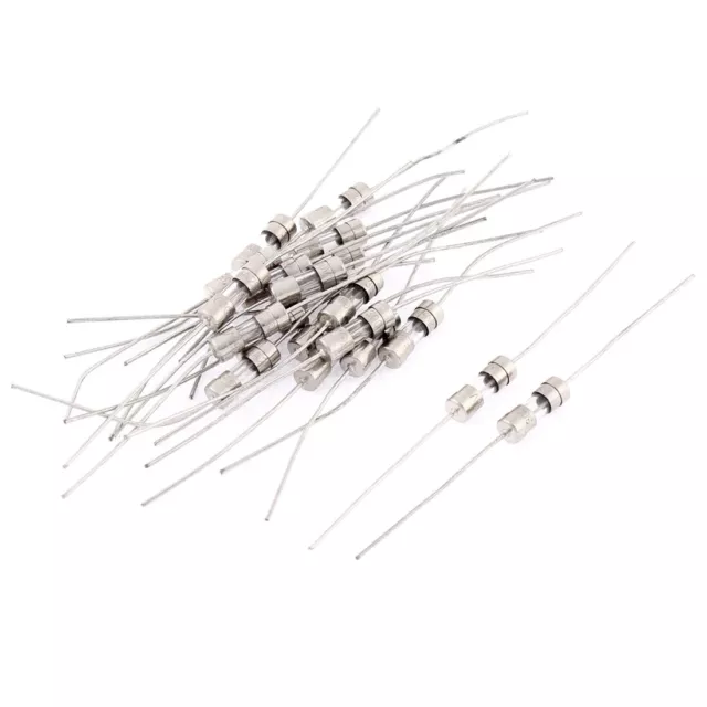 250V 300mA dans le trou de 3,6 mm x 10 mm fusible Axial lente de 20 pièces