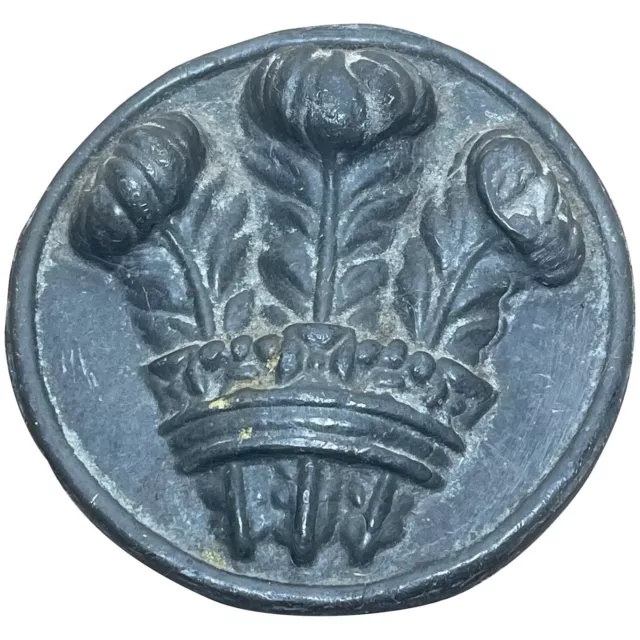 Británico 19th Century Real Escudo de Armas Príncipe Gales Cable Pared Heráldico