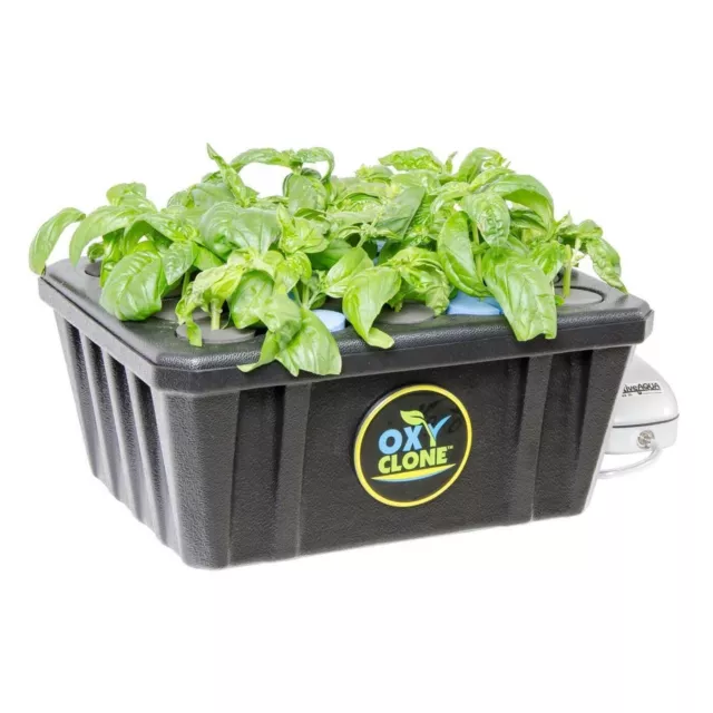 Open Box Oxy Clone 20 Site Pro Series Hydroponic Recirculating Cloning System