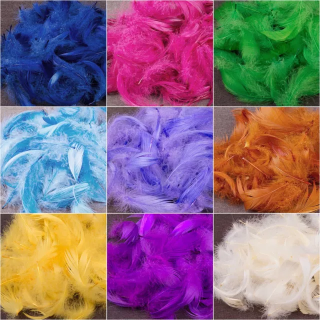 Soft Small 25 x Feathers Arts Crafts Scrapbooking Card Making Embellishments