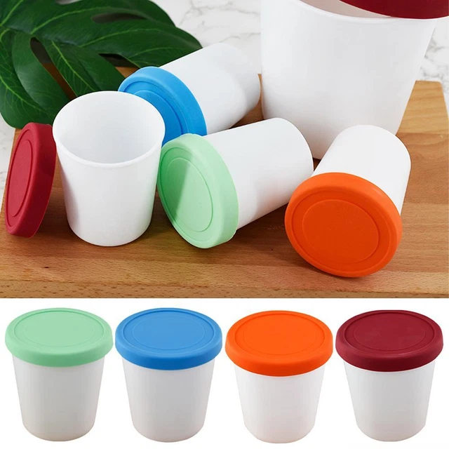 Reusable ice cream containers for homemade ice cream in the