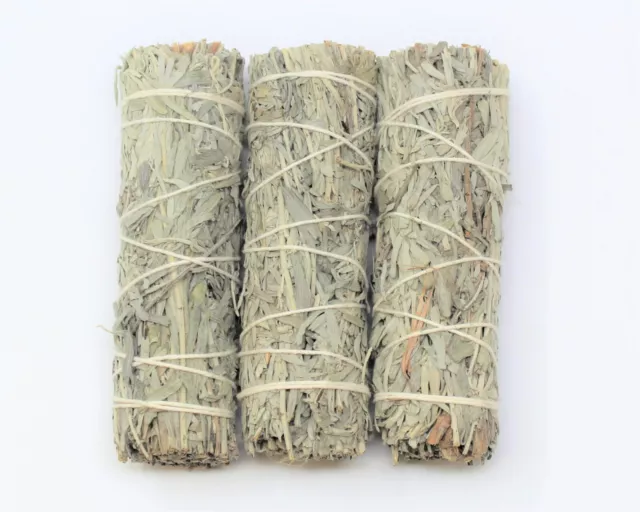 Blue Sage Smudge Stick: 3 Wand Pack! (Herb, House Cleansing Negativity Removal)