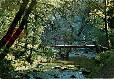 Picture Postcard::Lydford Gorge, Footbridge over the River Lyd