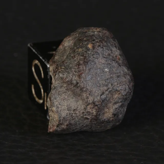 Meteorite Nwa 869 Crust Of Monster High Freaky Fusion 3,93 G Chondrite #C083-39