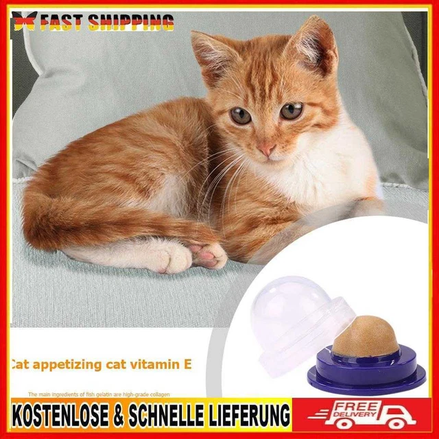 Vanpower snack per gatti erba gatto Kandis deliziare nutrizione gel Energy Ball (salmone
