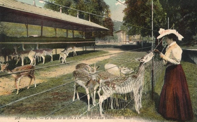 Carte Postale Ancienne - Lyon - Parc De La Tête D'Or - Noir Et Blanc - Voyagée (Rhône 69)