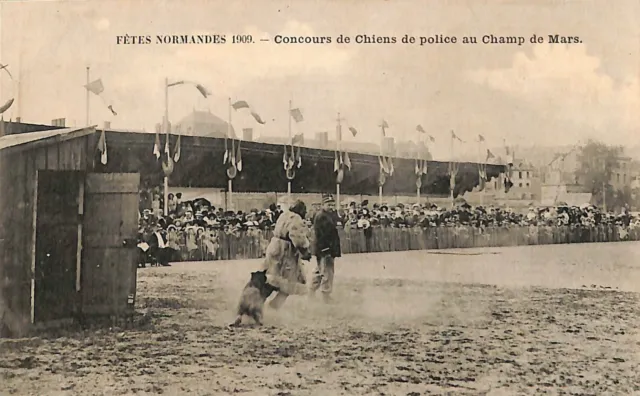 Paris Champ De Mars Carte Postale Concours Chiens De Police Fetes Normandes 1909