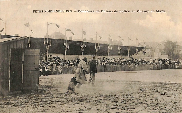 Paris Champ De Mars Carte Postale Concours Chiens De Police Fetes Normandes 1909