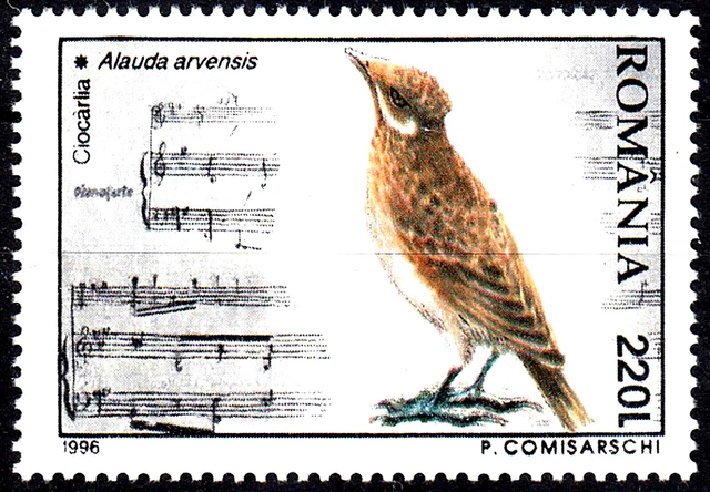 Rumänien postfrisch MNH Tier Vogel Wildtier Singvogel Feldlerche Lerche 1996/904
