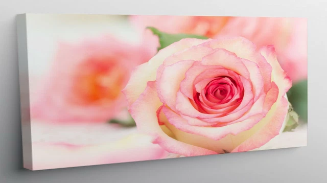 Tableau Déco Vintage Rose - Toile Canvas 50x50 Cm - Style Shabby Chic - Made In Italy
