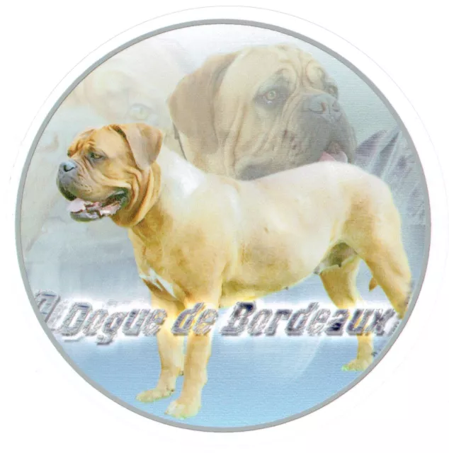 Aufkleber Motiv 3 Dogue de Bordeaux Dogge Bordo Dogge Dog Autoaufkleber Sticker