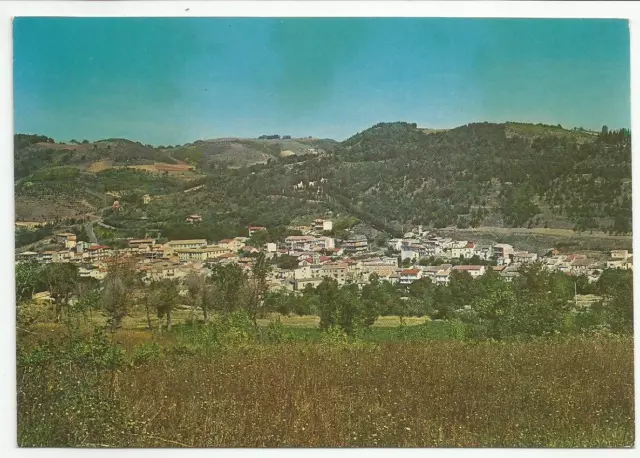 AVELLINO (085) - S. NICOLA BARONIA Panorama - FG/Vg 1979 (spedita dal Parroco)