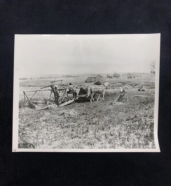 International Harvest Company Early Model Reaper Bring In Harvest Woman Photo