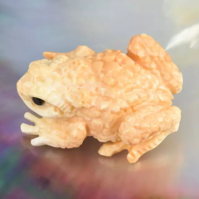 Toad Frog Figurine Carved Apricot Trumpet Shell Collection Jewelry Design 13.85g