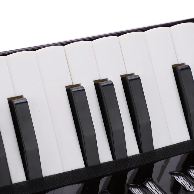 Accordion Musical Piano Keyboard Toy Rhythm Training Spring Instrument ADS