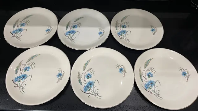 Vintage Alfred Meakin "Jayne" Pattern, Cornflower, Dinner Plates x 6 10 Inch