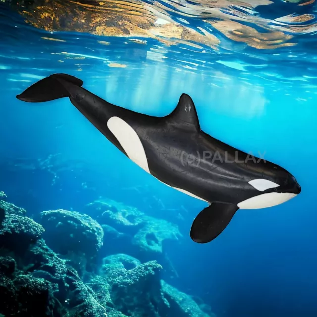 Schleich 14807 Orca Wal Orka / 2017