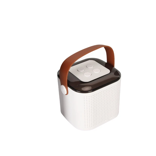 (White)Karaoke Machine With Two Wireless Microphones Mini Stereo