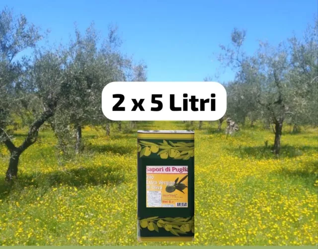 10 LT Olio Extravergine di oliva Pugliese 10 Litri