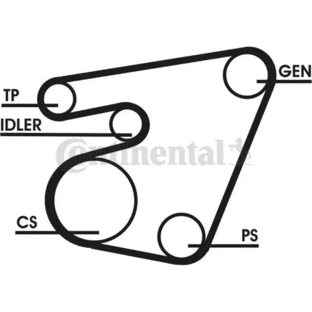 CONTINENTAL CTAM Set Cinghia Scanalata per VW Transporter IV Bus 70XB