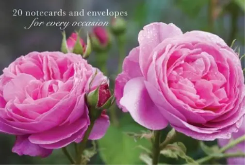 Peony Press Card Box of 20 Notecards and Envelopes: Pink Rose (Cards)